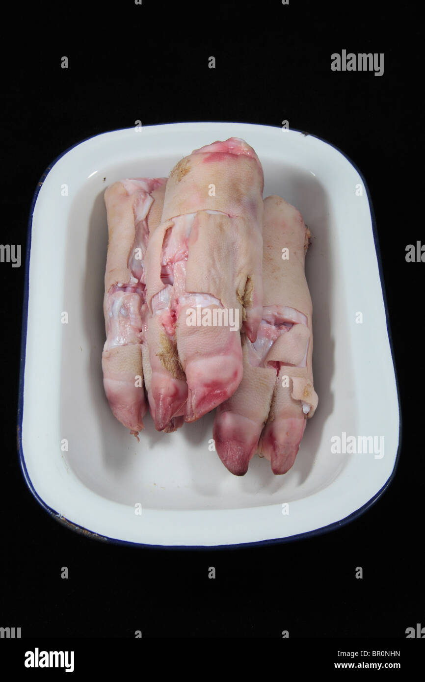 Close up view of three partially dissected pigs trotters after being used in a UK school science lesson. Stock Photo