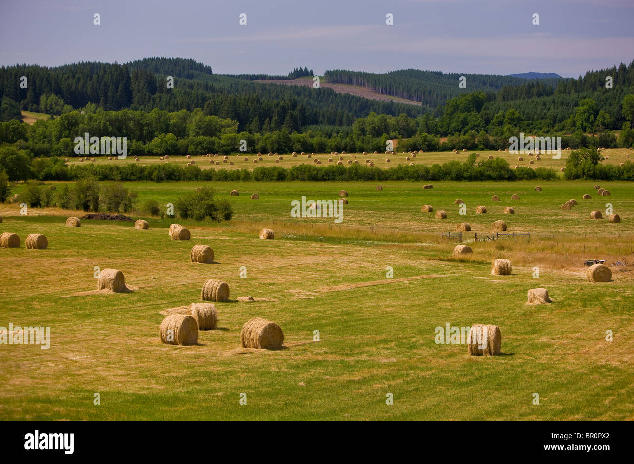 BLODGETT, OREGON, USA - Round bales of hay in field, farm Stock Photo