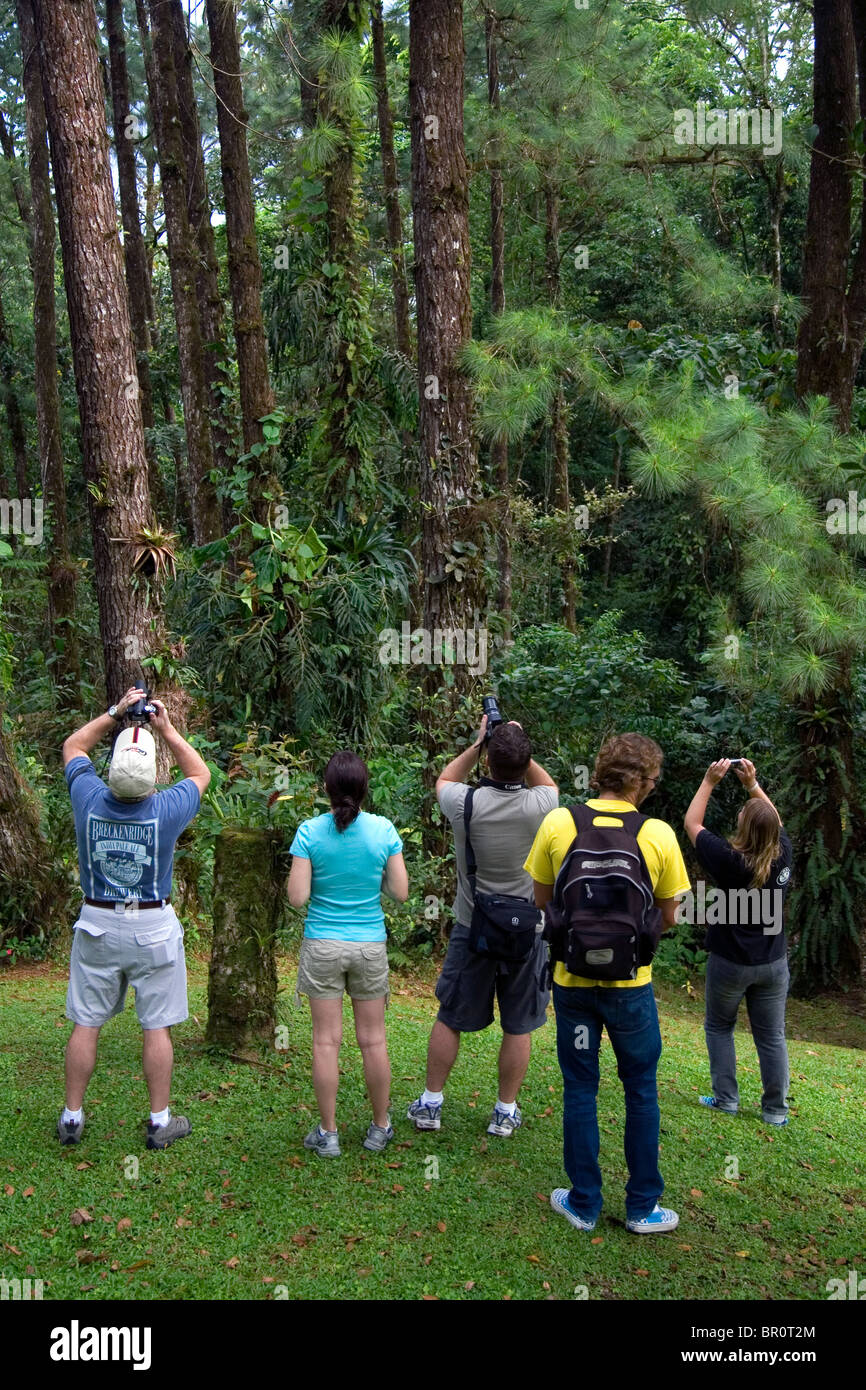 Tourists bird watching in the Arenal Volcano National Park near La Fortuna, San Carlos, Costa Rica. Stock Photo