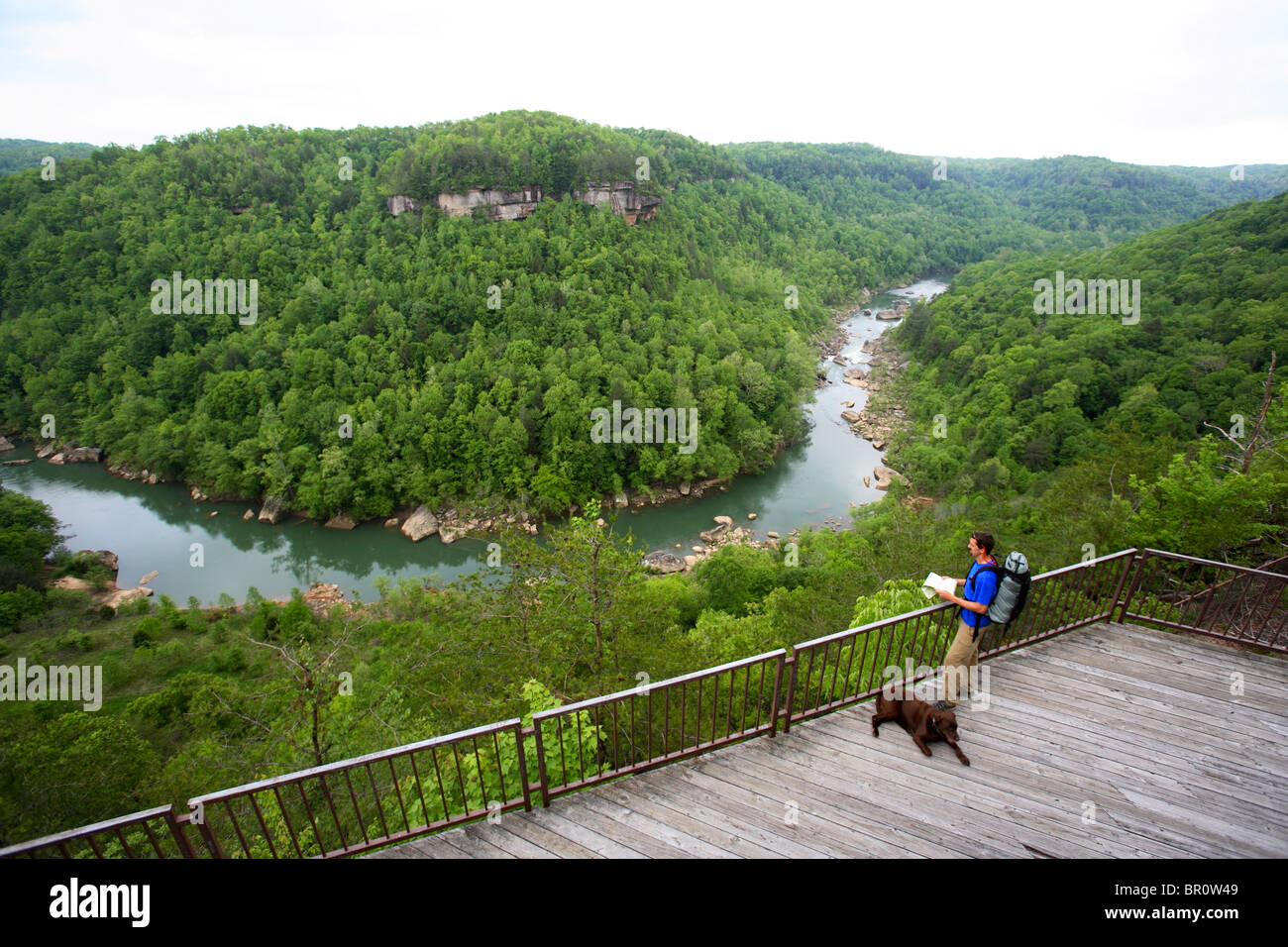 Male with dog consults a map at an overlook at Blue Heron in the Big South  Fork National River along the TN/KY border Stock Photo - Alamy