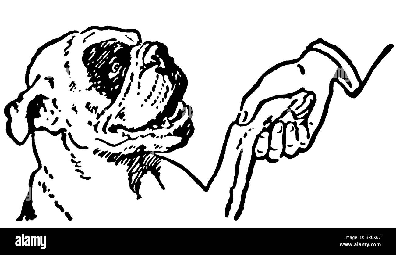A black and white version of a cleaver Bulldog shaking hands with its owner Stock Photo