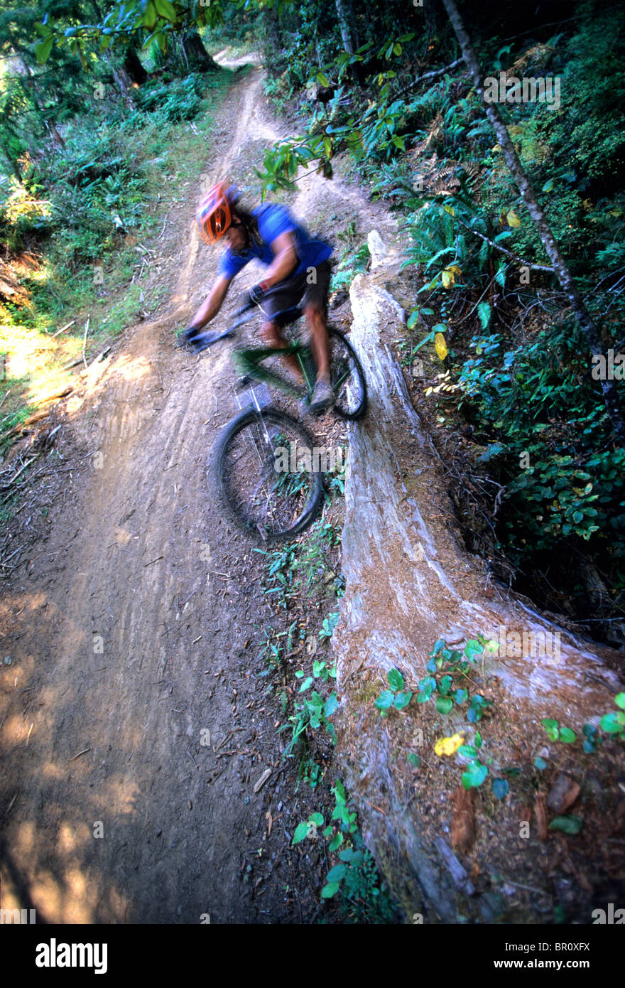mountain biking in northern california