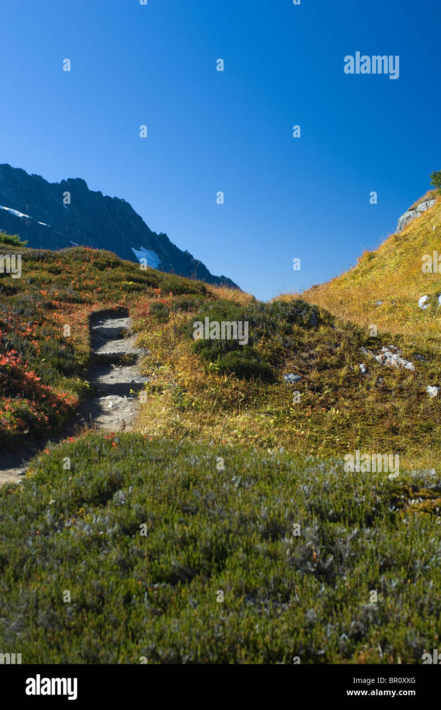 Steps on empty mountain trail Stock Photo - Alamy