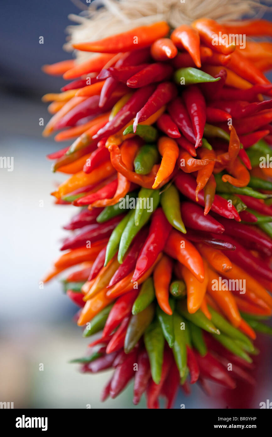 chile ristra decoration hanging dried Santa Fe, New Mexico, traditional