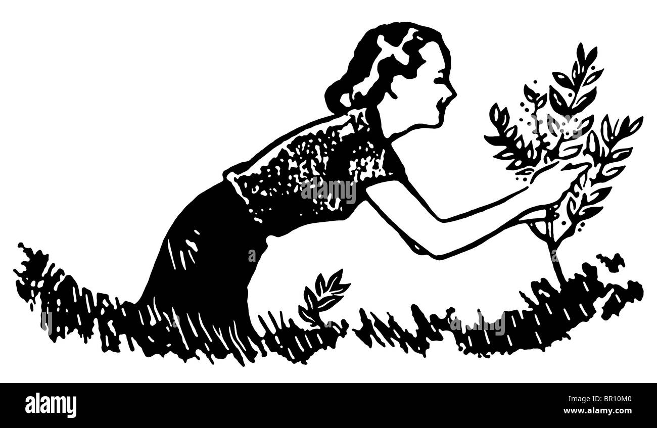 A black and white version of a woman tending a small tree Stock Photo ...
