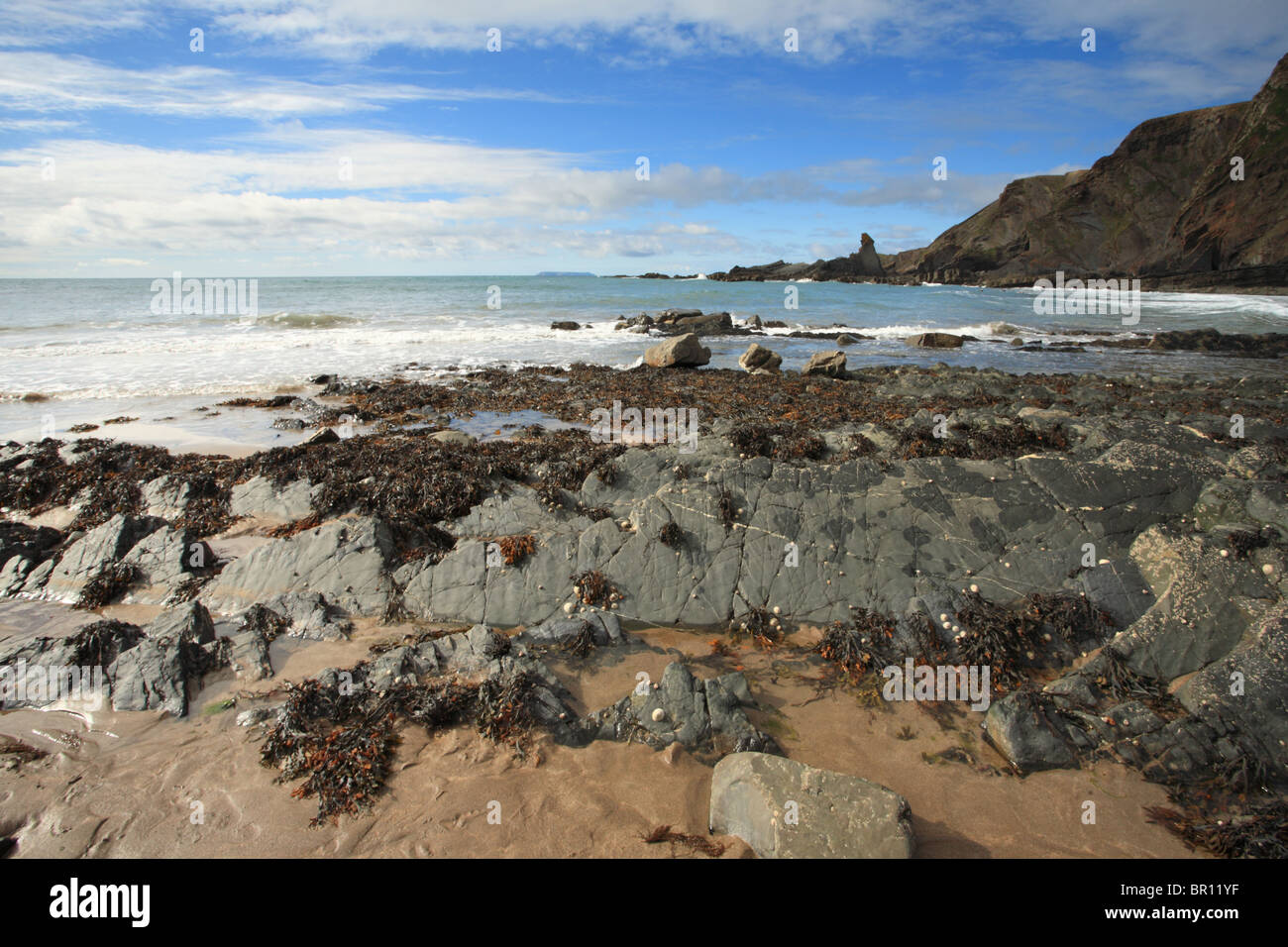 Hartland Quay, North Devon, England, UK Stock Photo Alamy