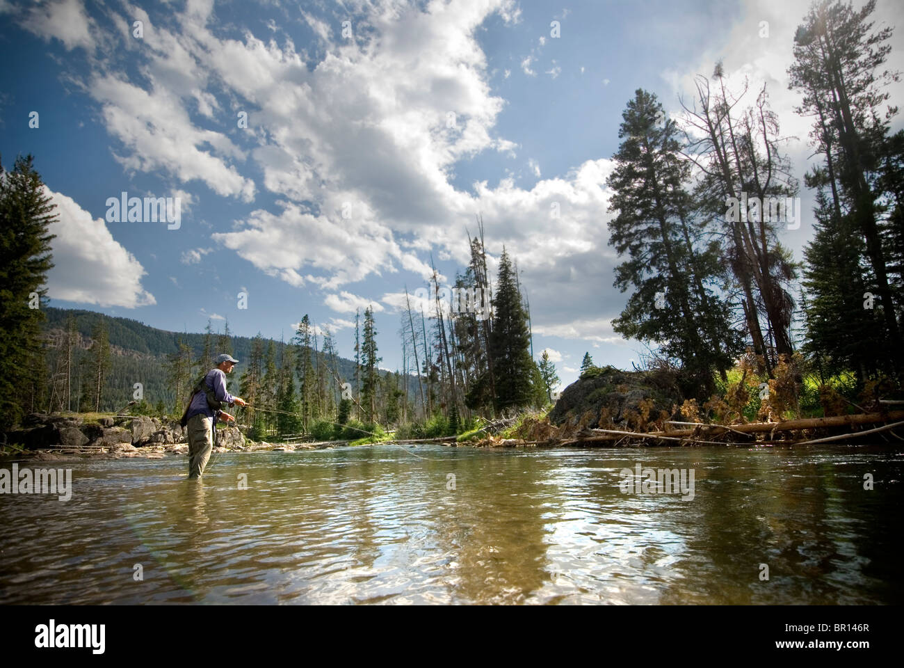 Flyfisherman casts cross stream on Cache Creek River in Yellowstone