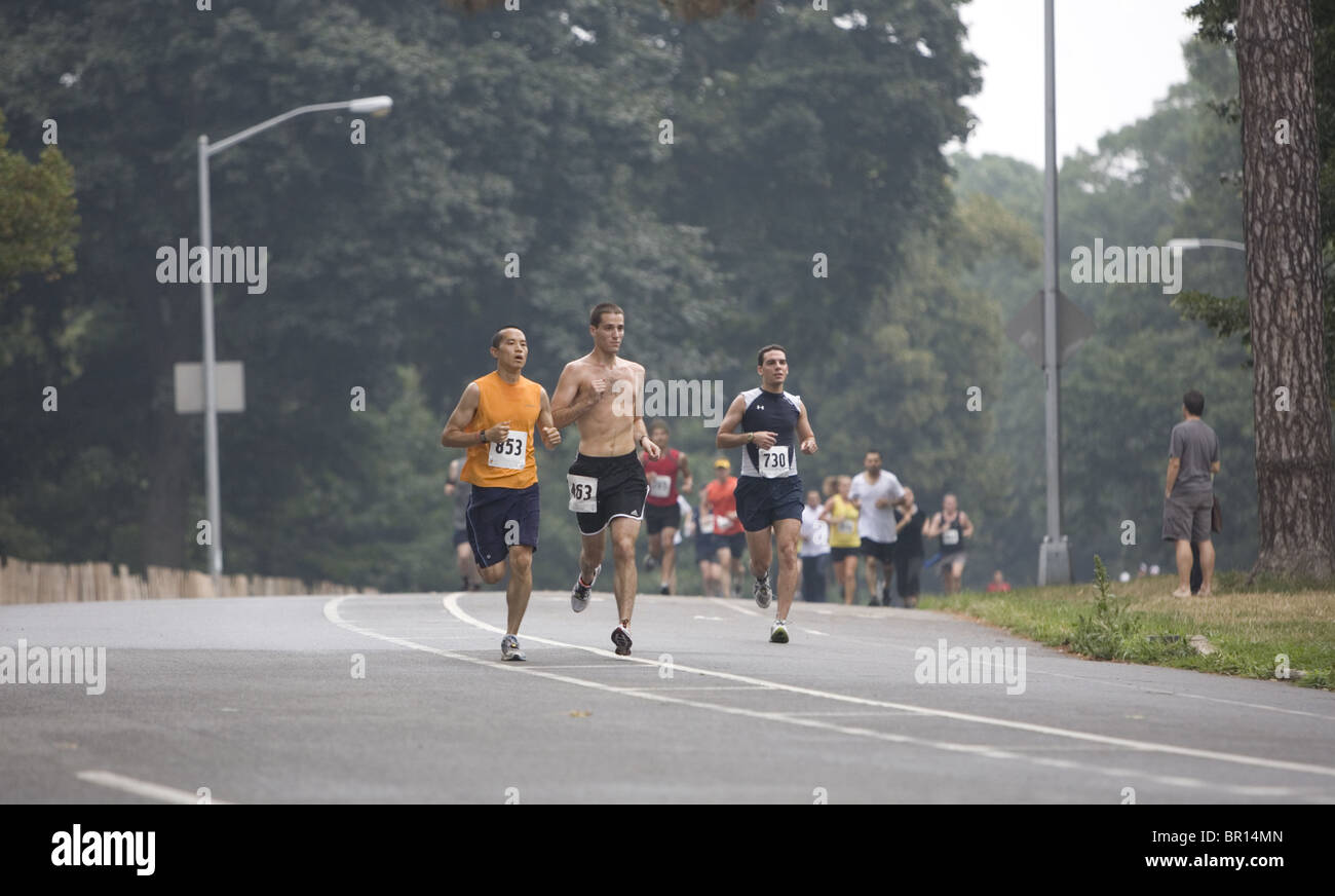 Jack rabbit running hires stock photography and images Alamy