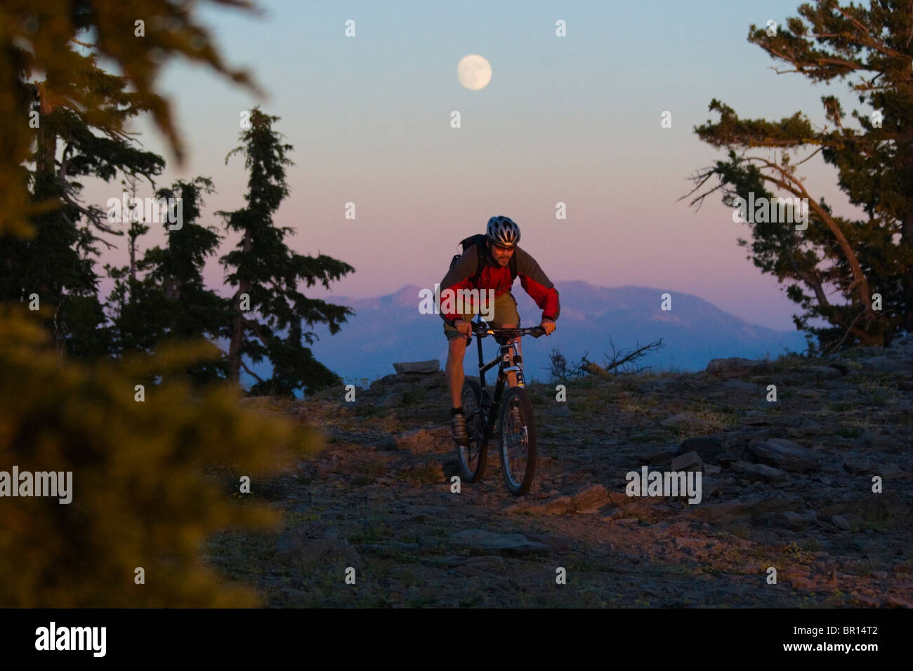 A man mountain bikes beneath the moon on the Tahoe Rim Trail in California Stock Photo Alamy