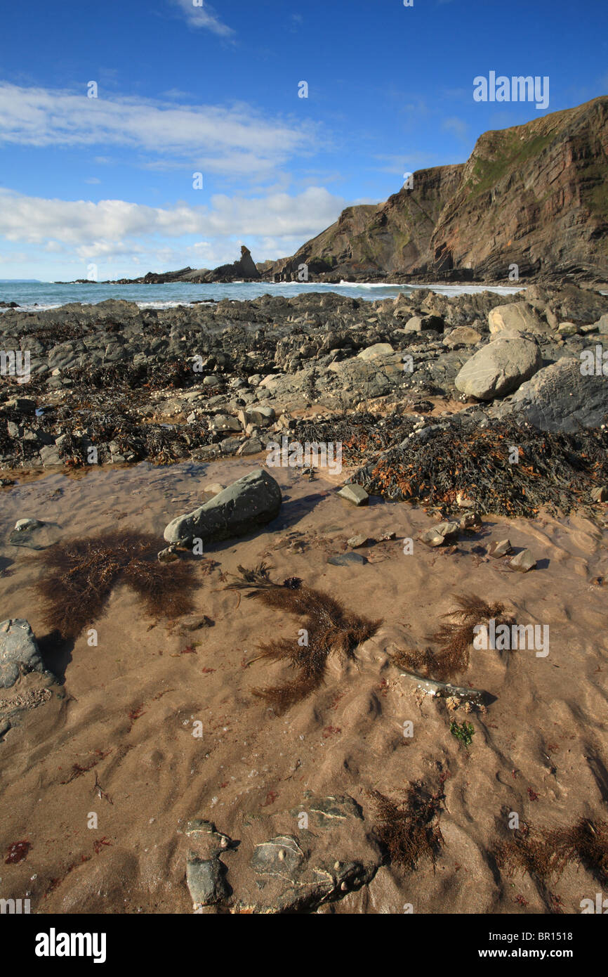 Hartland Quay, North Devon, England, UK Stock Photo Alamy
