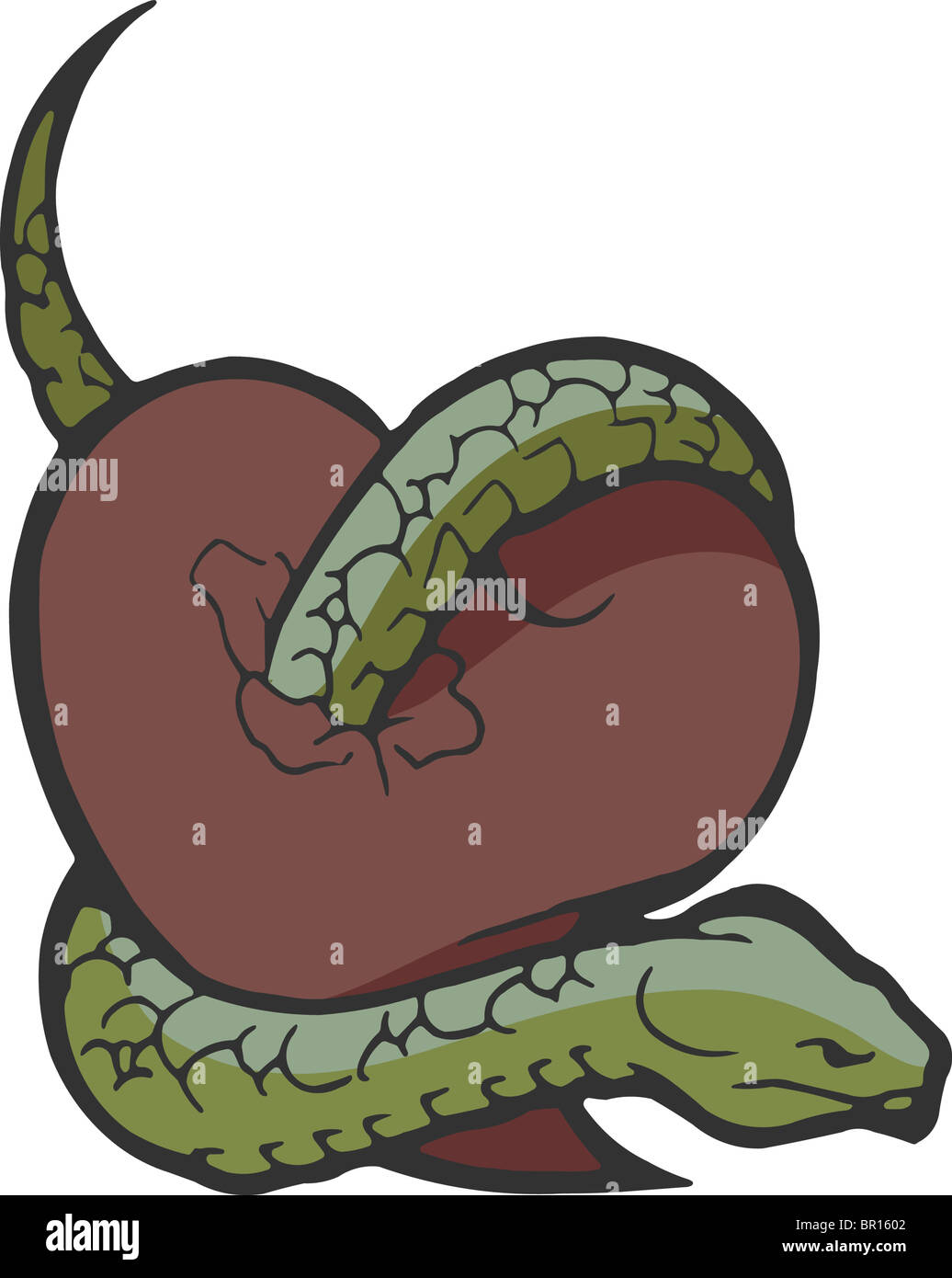 Snake Wraps Coils Around Women