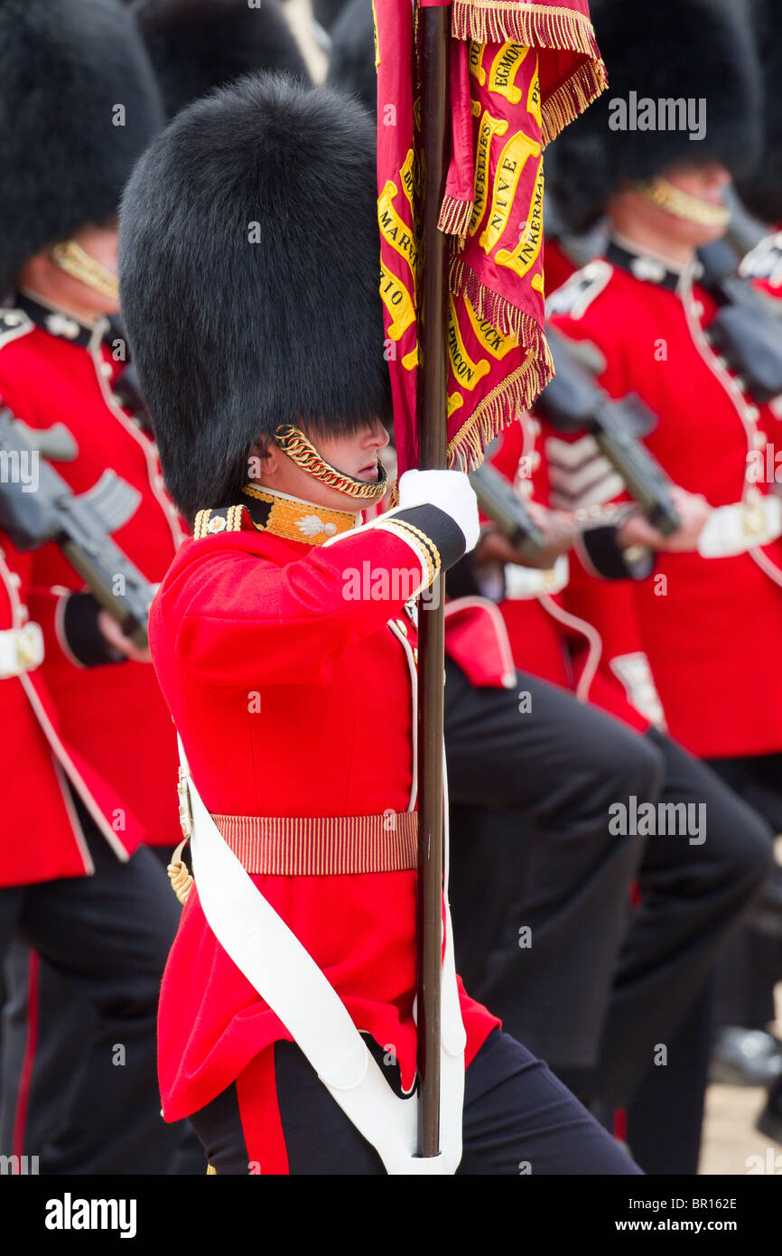 The Colour being trooped by the Escort to the Color. "Trooping the Colour" 2010 Stock Photo
