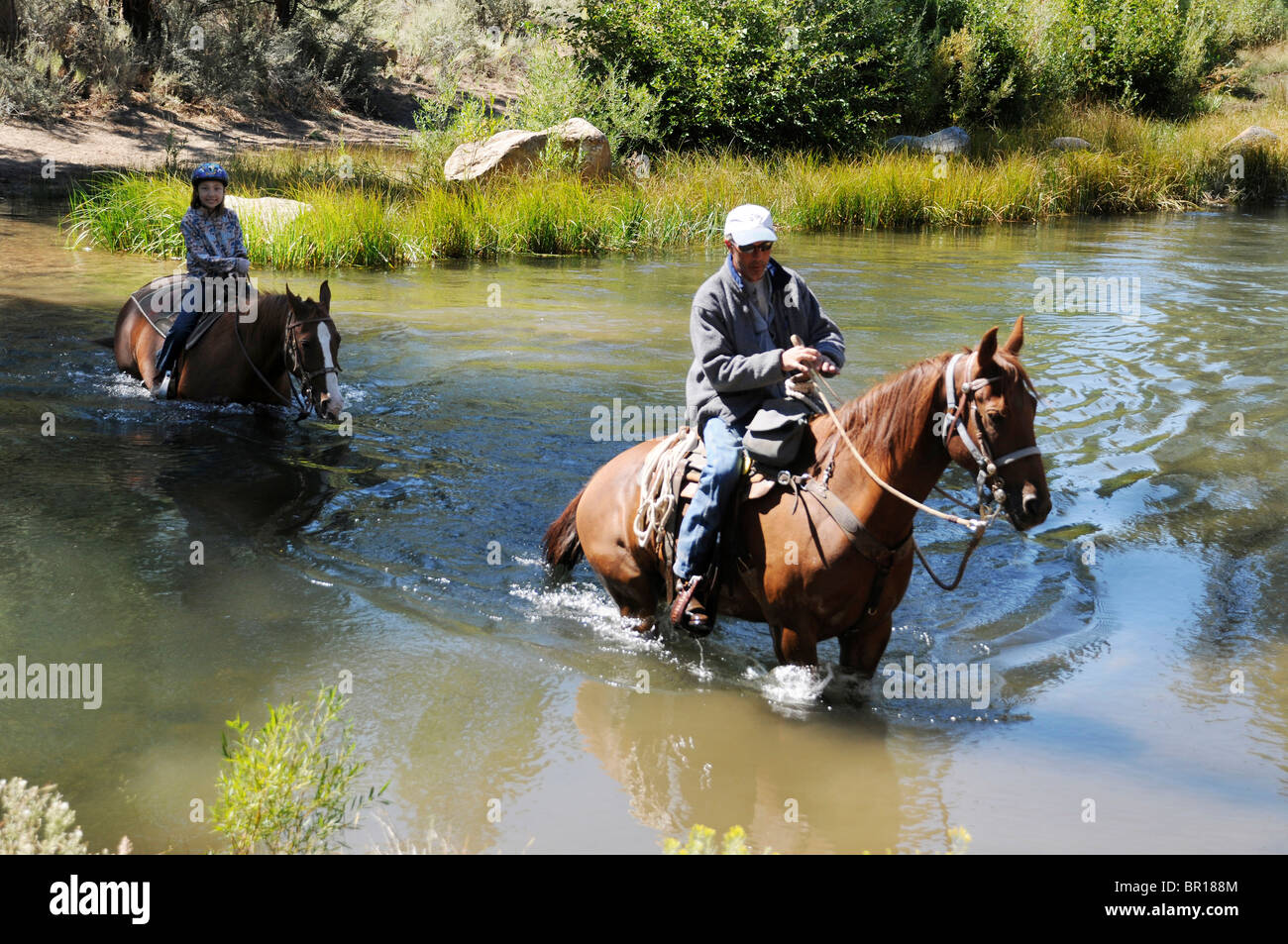 Flyspur Ranch visitors riding horses through stream and forest near