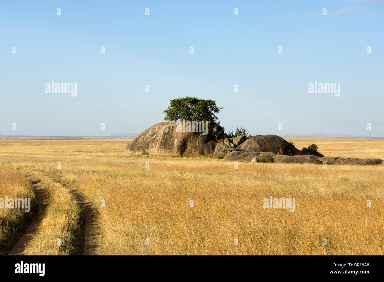 Rocky outcrop (Kopje), Serengeti National Park, Tanzania Stock Photo ...