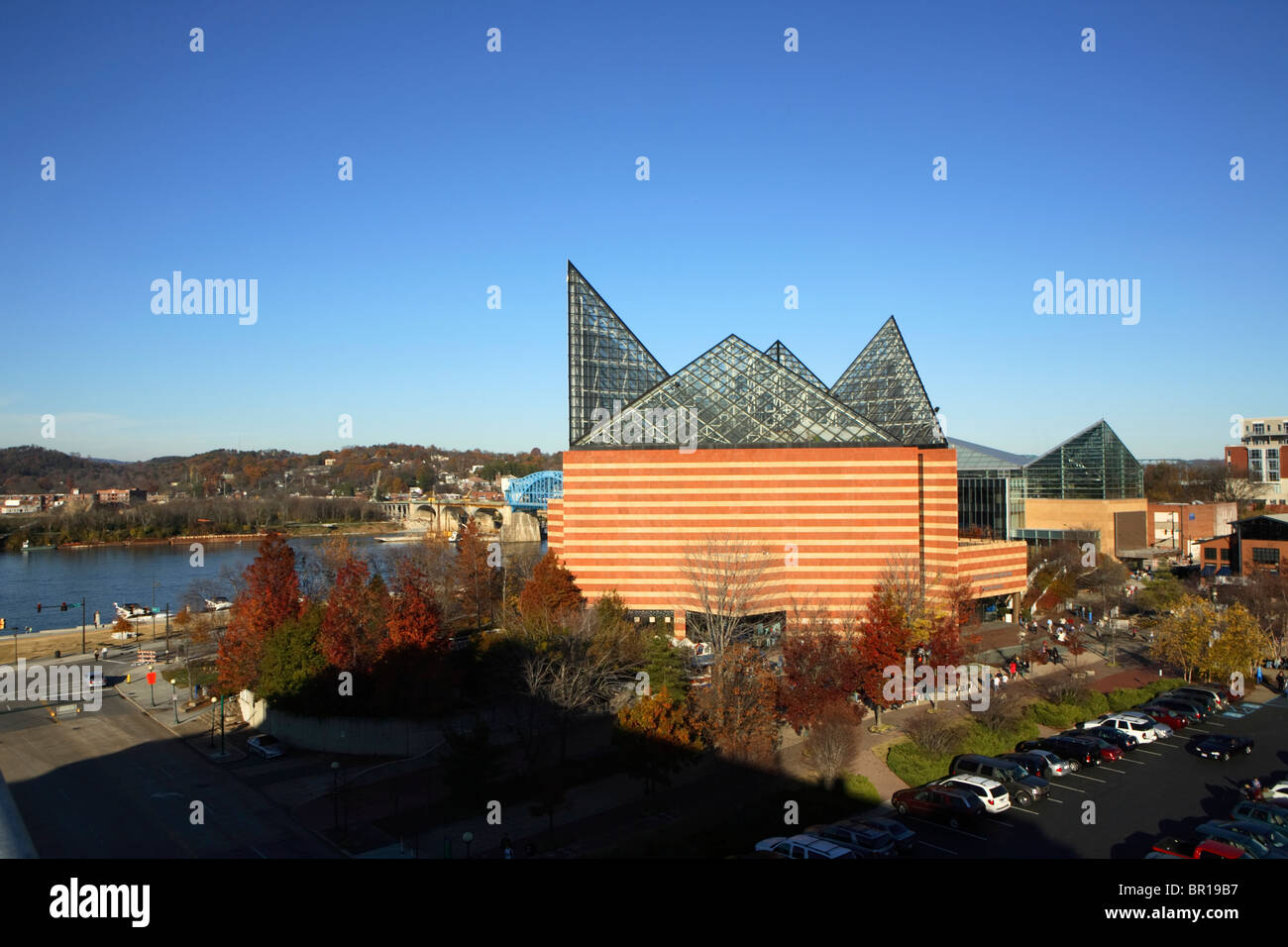 Aquarium in chattanooga tn hi-res stock photography and images - Alamy