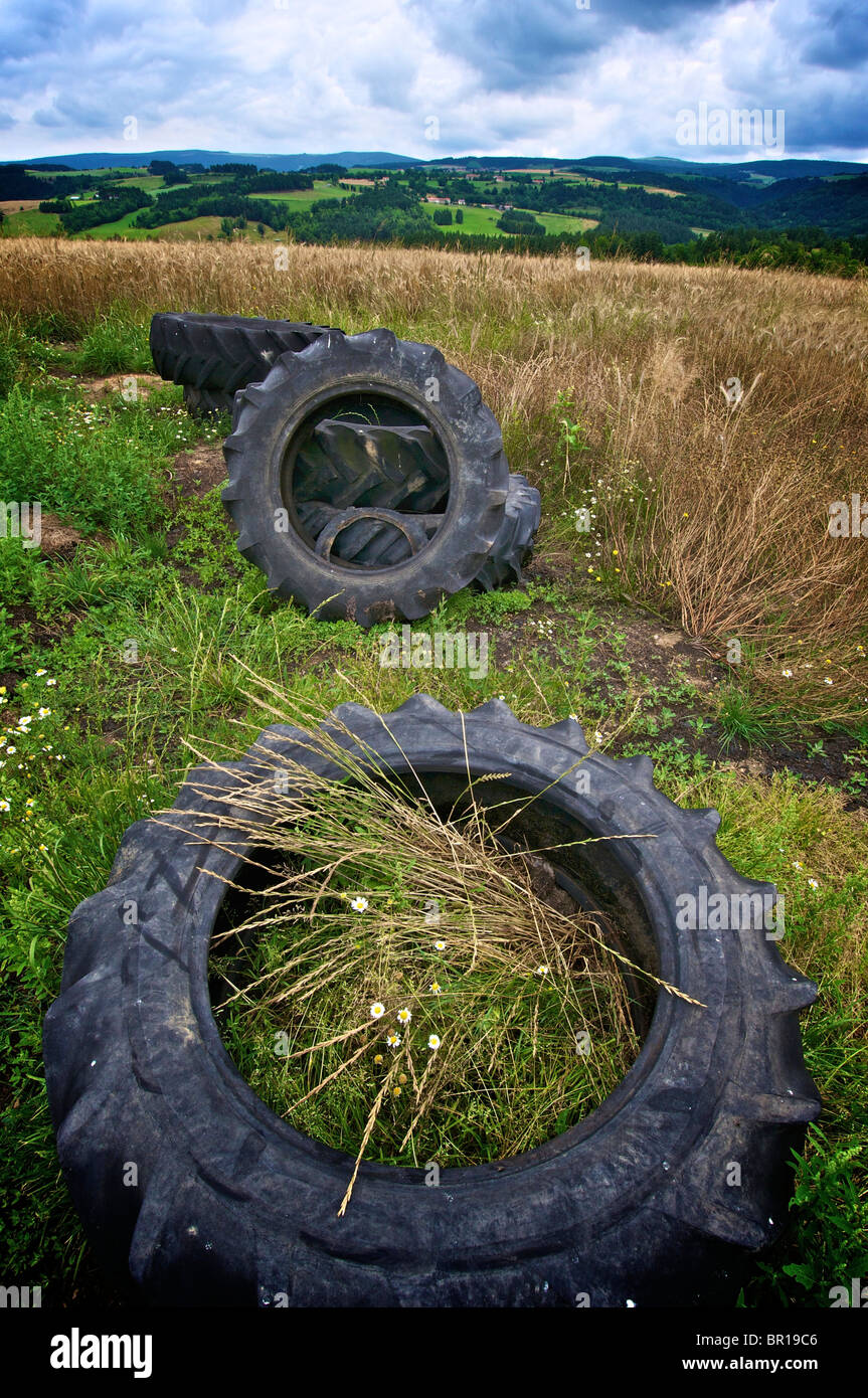 Old tires repurposed as planters in a vibrant field under a cloudy sky near a rolling landscape, Auvergne-rhone-Alpes, France Stock Photo