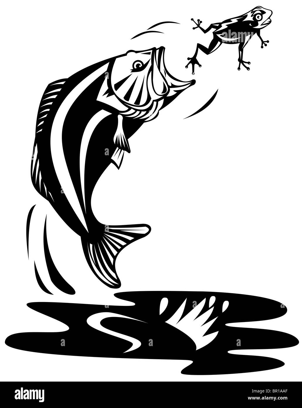 retro woodcut style illustration of a largemouth bass fish jumping on isolated white background Stock Photo