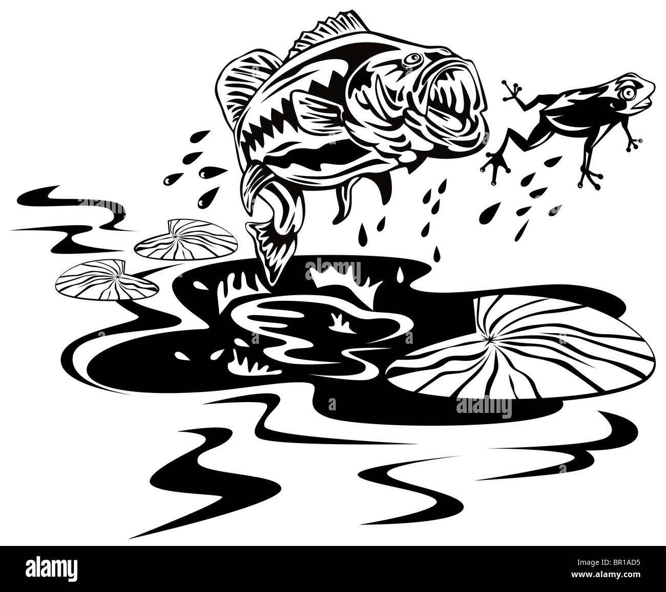 retro woodcut style illustration of a largemouth bass fish jumping catching frog on isolated white background Stock Photo