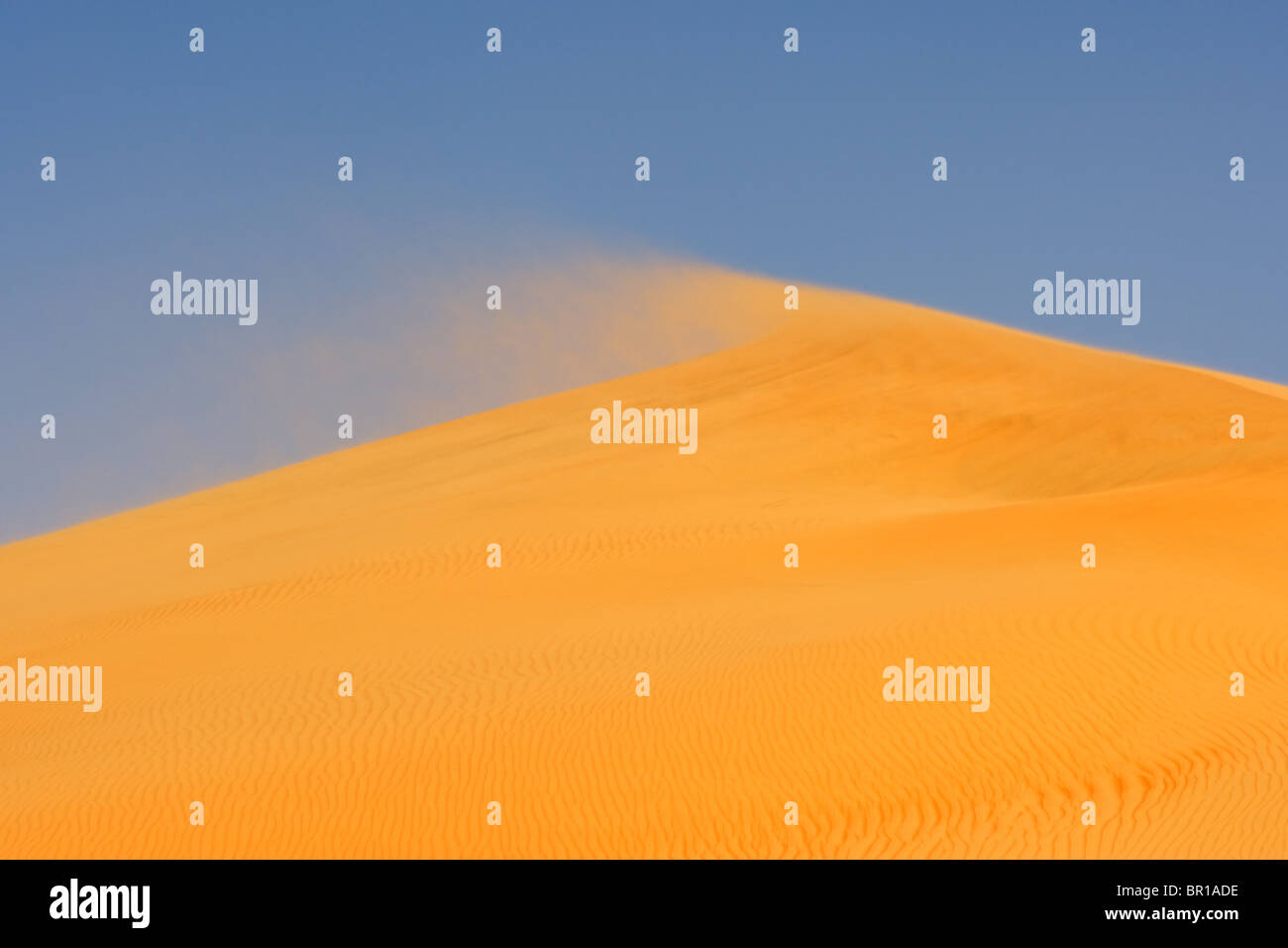 Wind blowing on the crest of a dune in the Rub al Khali or Empty Quarter. Stock Photo
