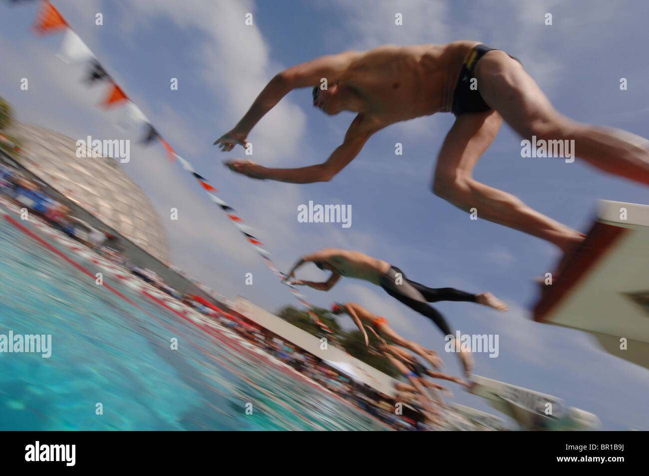 swimmers dive during swim race Stock Photo Alamy