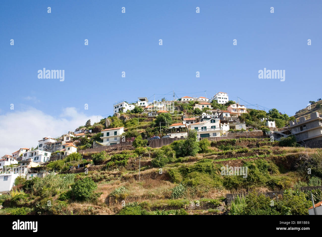 Madeira Homes on hill Stock Photo Alamy