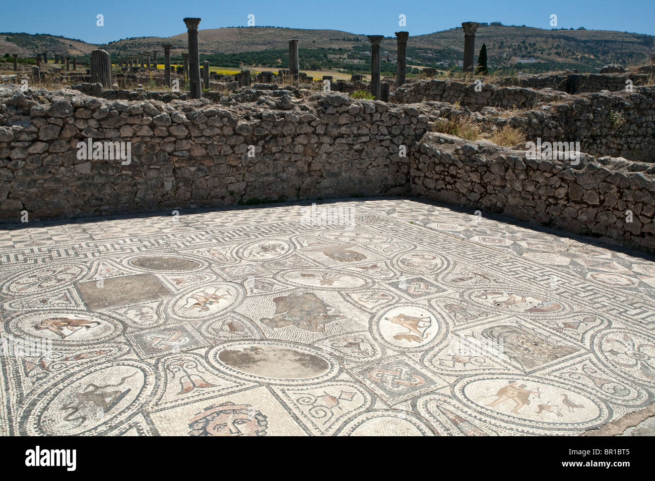 12 labours of Hercules dining room mosaic, Volubilis roman town, Morocco Stock Photo