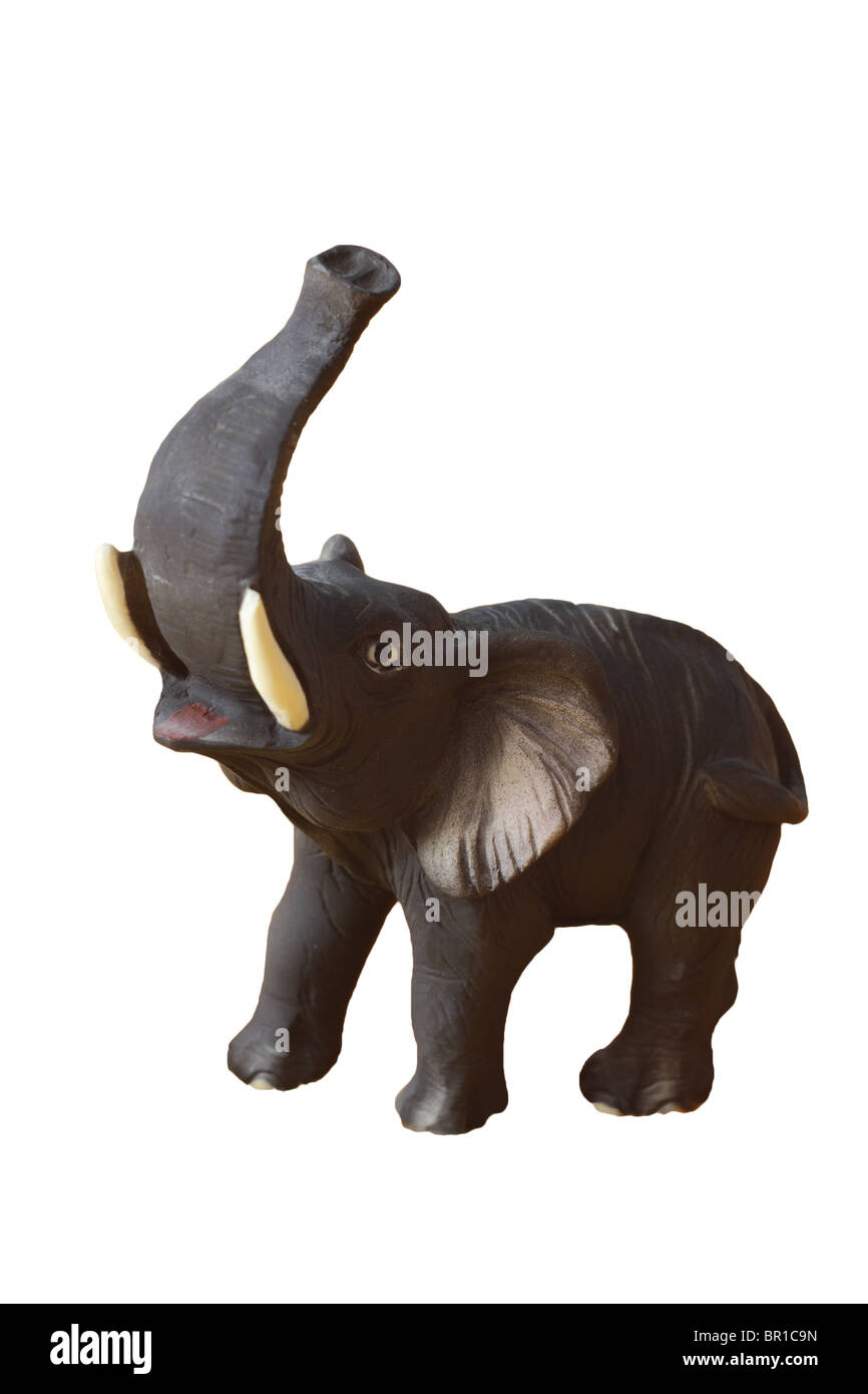 Lucky elephant isolated in white Stock Photo Alamy