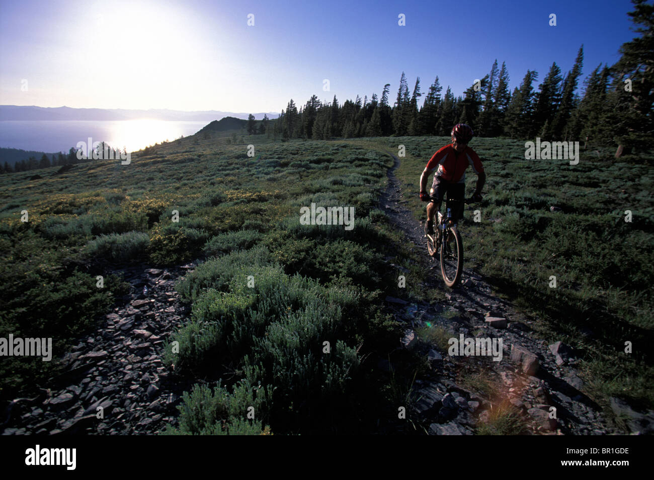 A mountain biker riding above Lake Tahoe, California Stock Photo - Alamy