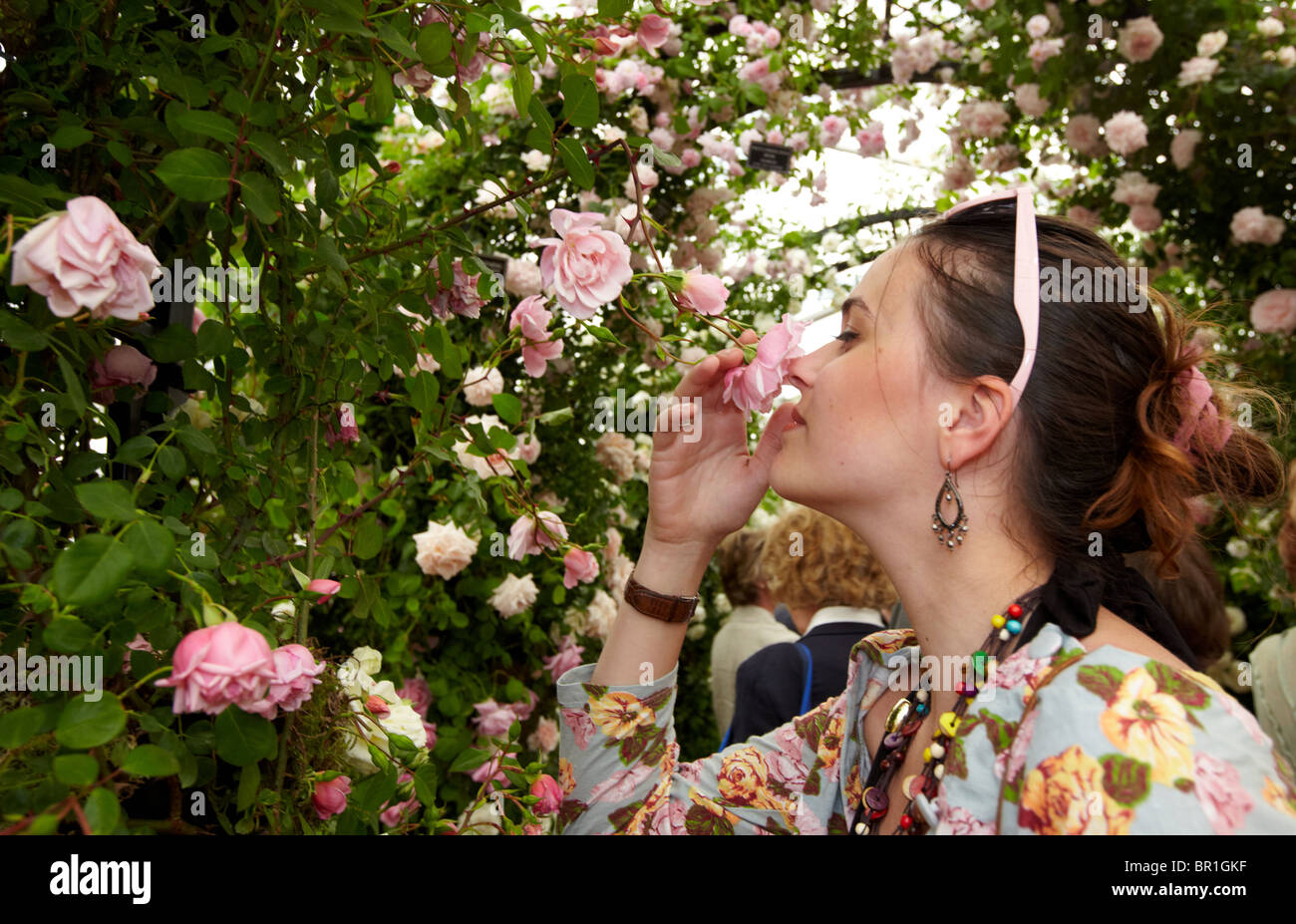 Rc 12139 hires stock photography and images Alamy