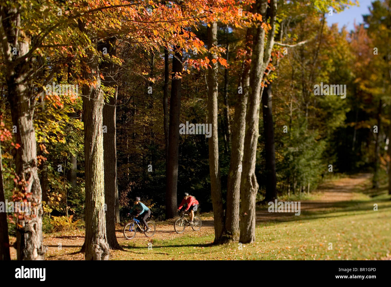 Mountain bikers ride in New Gloucester, Maine Stock Photo Alamy