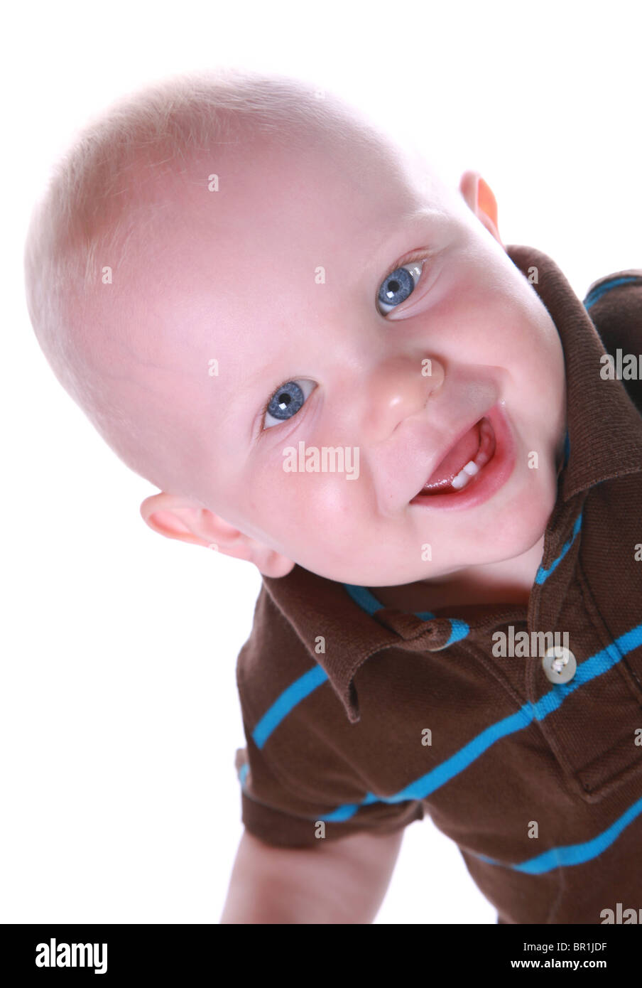 Studio portrait of a baby boy Stock Photo - Alamy