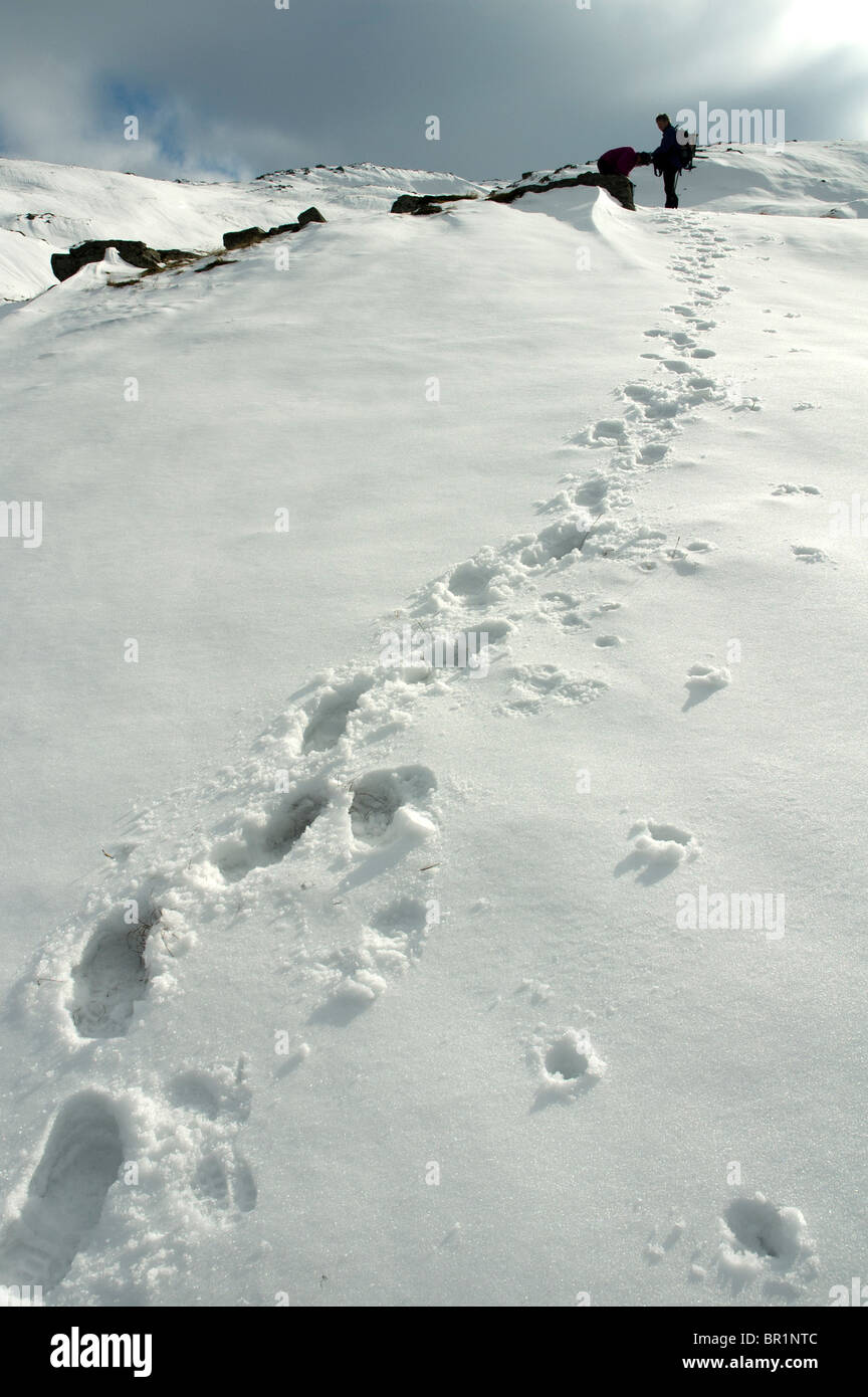 Hill walkers and footprints in snow on High Raise in winter, Easedale, near Grasmere, Lake District, Cumbria, England, UK Stock Photo