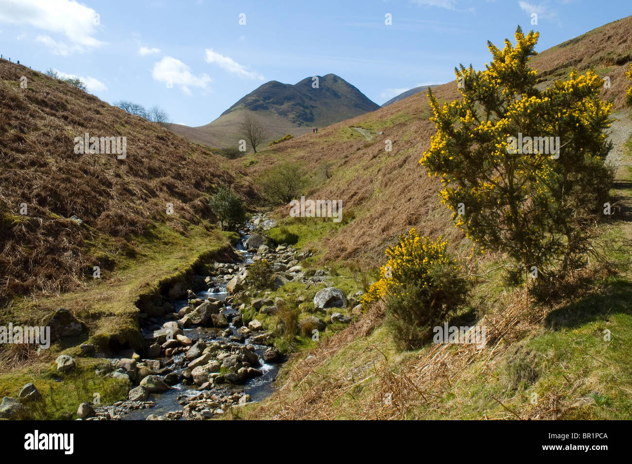 Ard Crags from Rigg Beck, Derwent Fells, near Keswick, Lake District