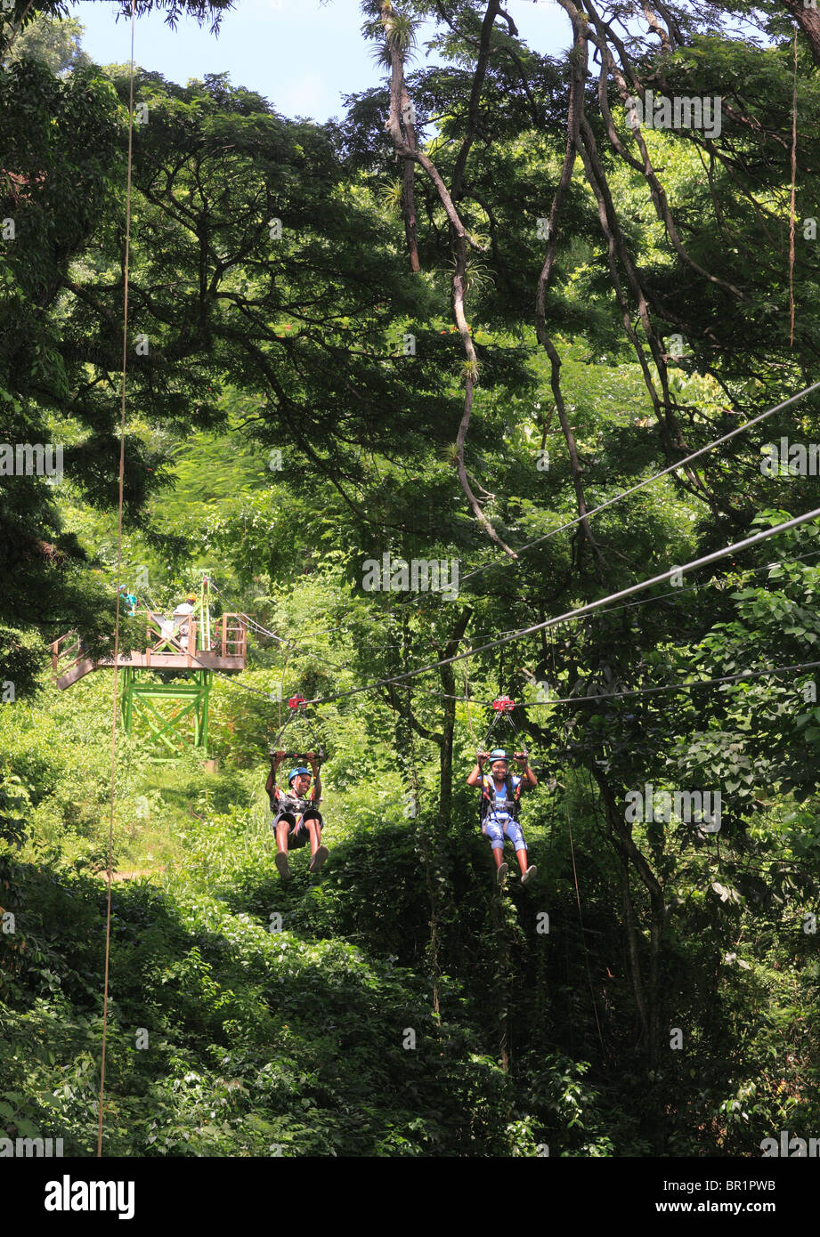 'Zipping' through the tropical forest at St.Kitts Safari Rides Stock