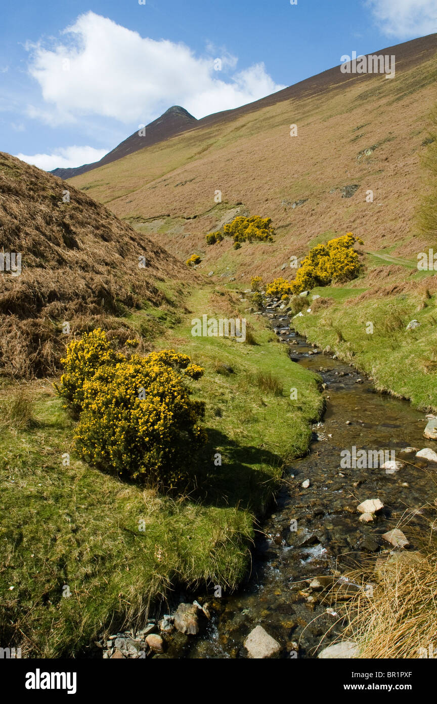 Crag Hill from Rigg Beck, Derwent Fells, near Keswick, Lake District