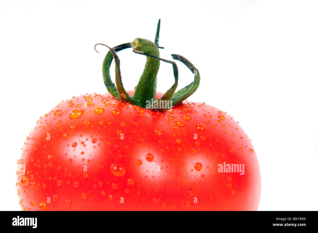 Fresh Red Tomato with water drops isolated on white background Stock ...