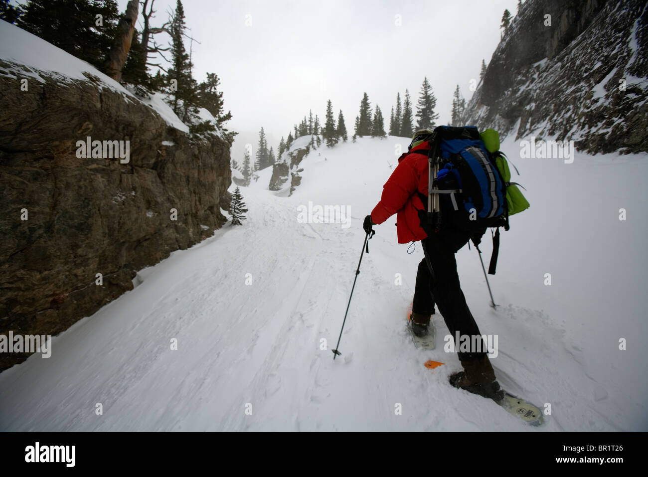 A man snowshoeing in Rocky Mountain National Park, CO Stock Photo Alamy