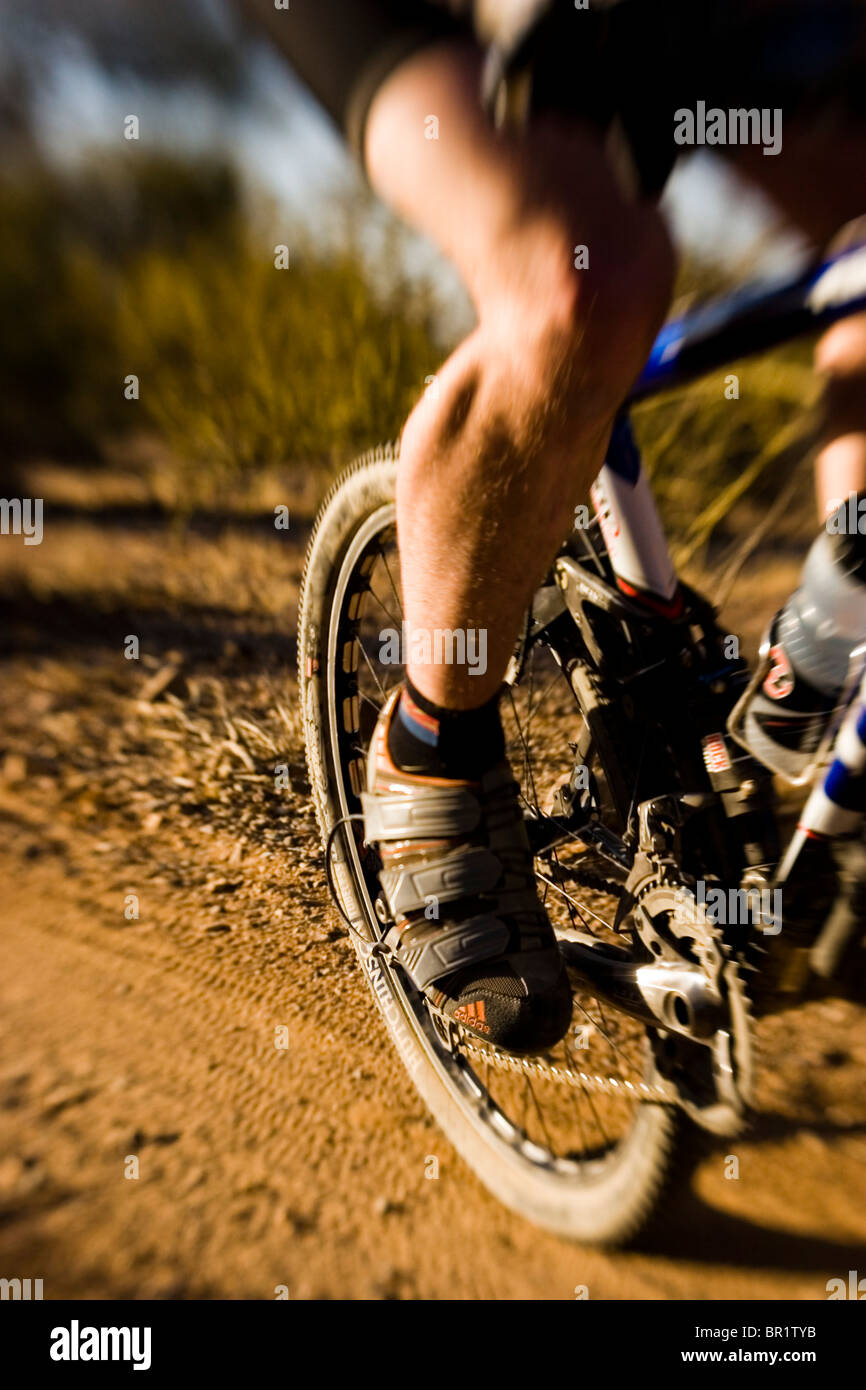 Mountain biker riding on bike singletrack trail hires stock