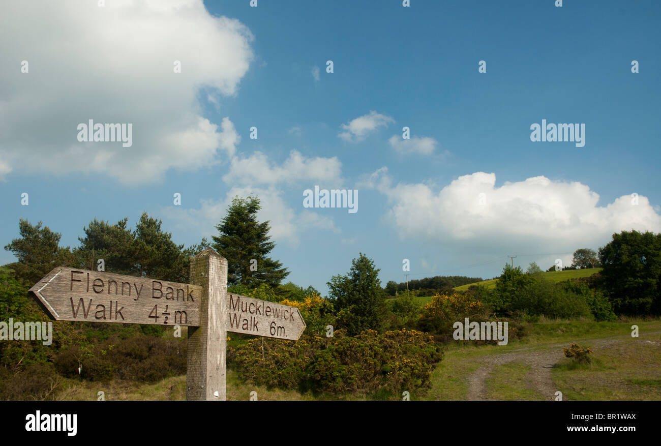 Signpost at the Bog - in the Shropshire Hills under blue skies Stock Photo