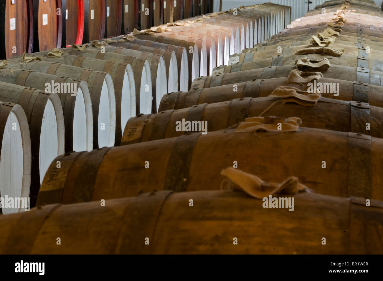 Australia South Australia Barossa Valley. Oak barrels of Port dating back to 1897 stored to age at Seppelt Winery Stock Photo