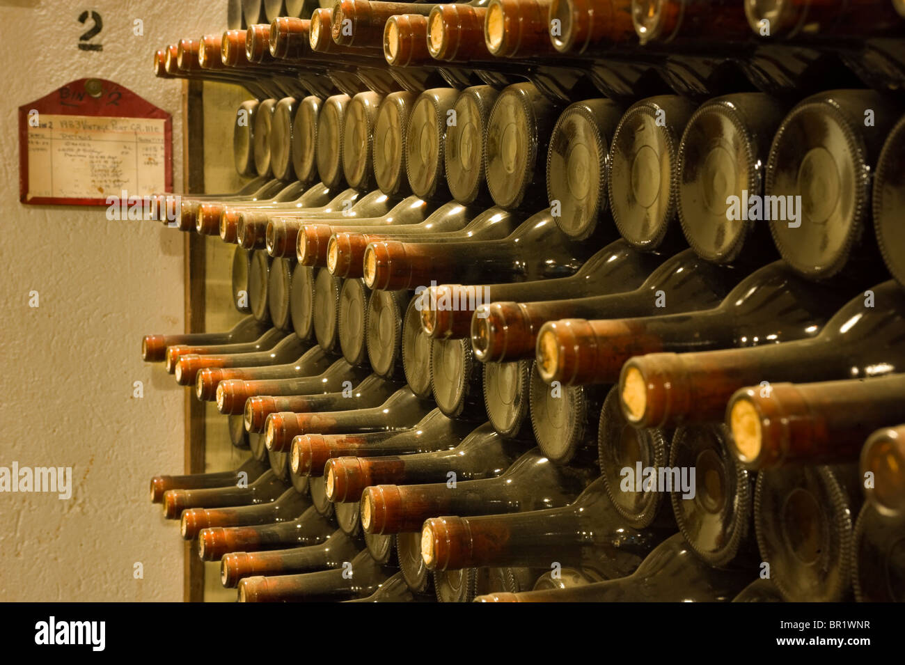 Australia South Australia Barossa Valley. Dust-covered bottles of port dated 1983 stored to age at Seppelt Winery Stock Photo