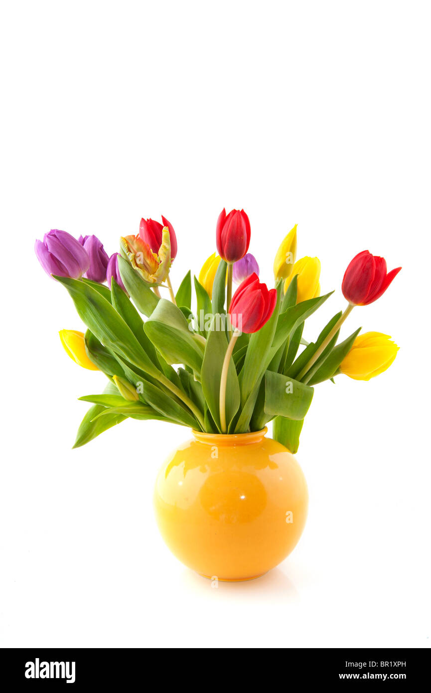 Colorful bouquet tulips in yellow vase on white background Stock Photo ...