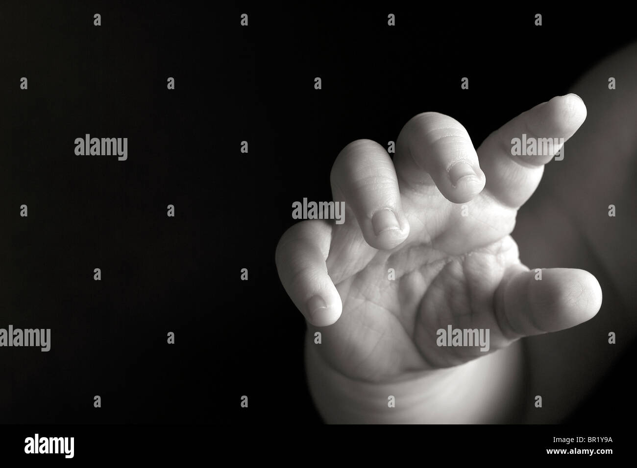 Newborn baby's hand. black and white. Looks like the baby is reaching out to touch. Stock Photo