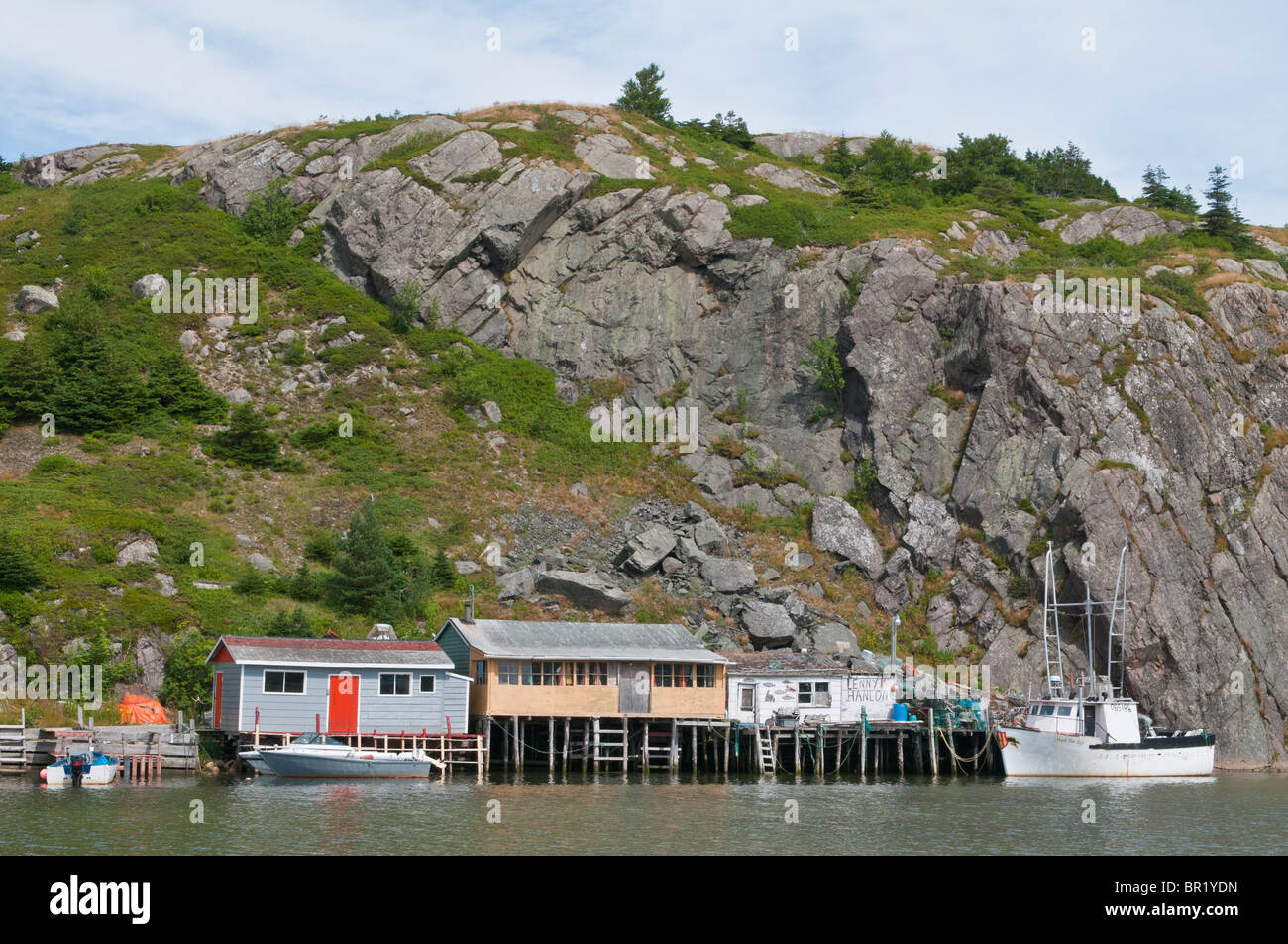 Quidi vidi harbour hires stock photography and images Alamy