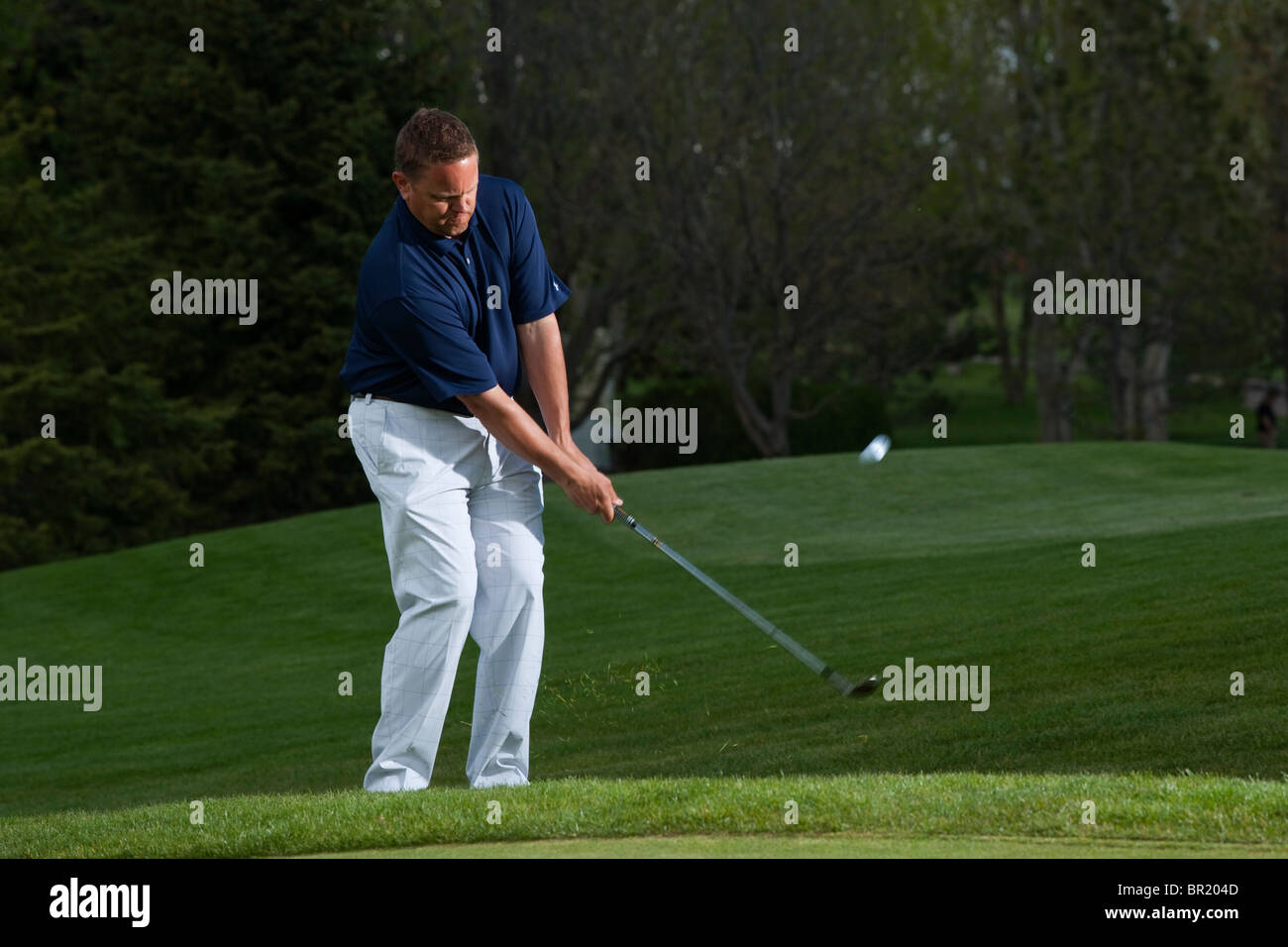 Pga professional golfer hires stock photography and images Alamy
