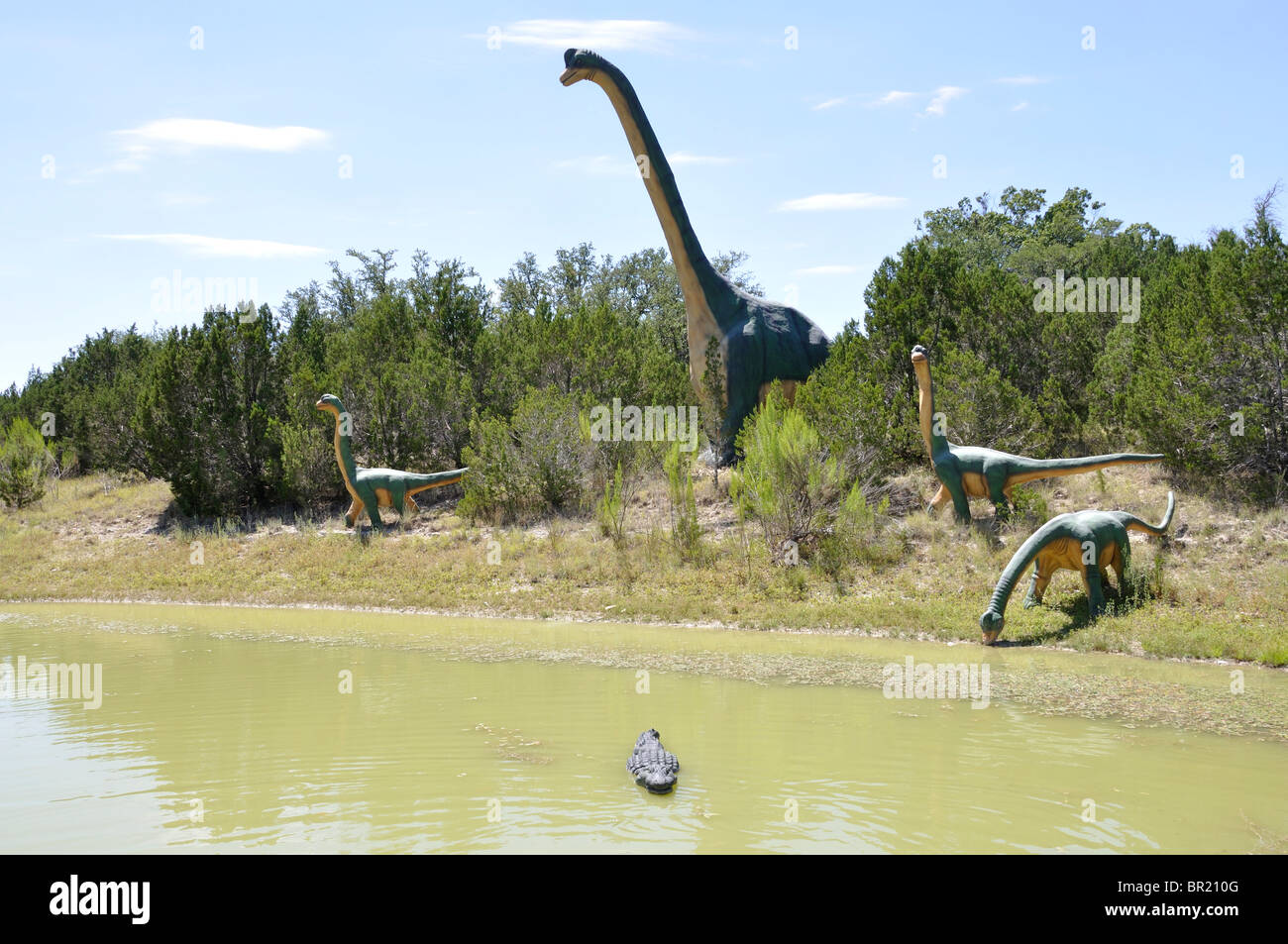 Dinosaur dinosaurs dino brachiosaurus world museum exhibition glen rose