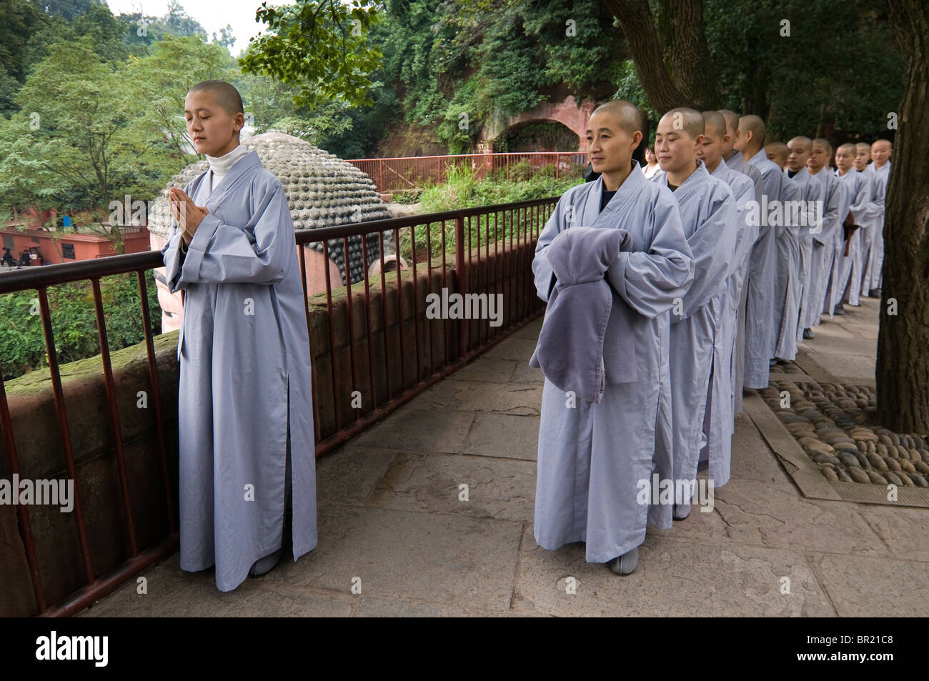 young-buddhist-nuns-pray-above-the-dafo-or-great-buddha-le-shan-sichuan-BR21C8.jpg
