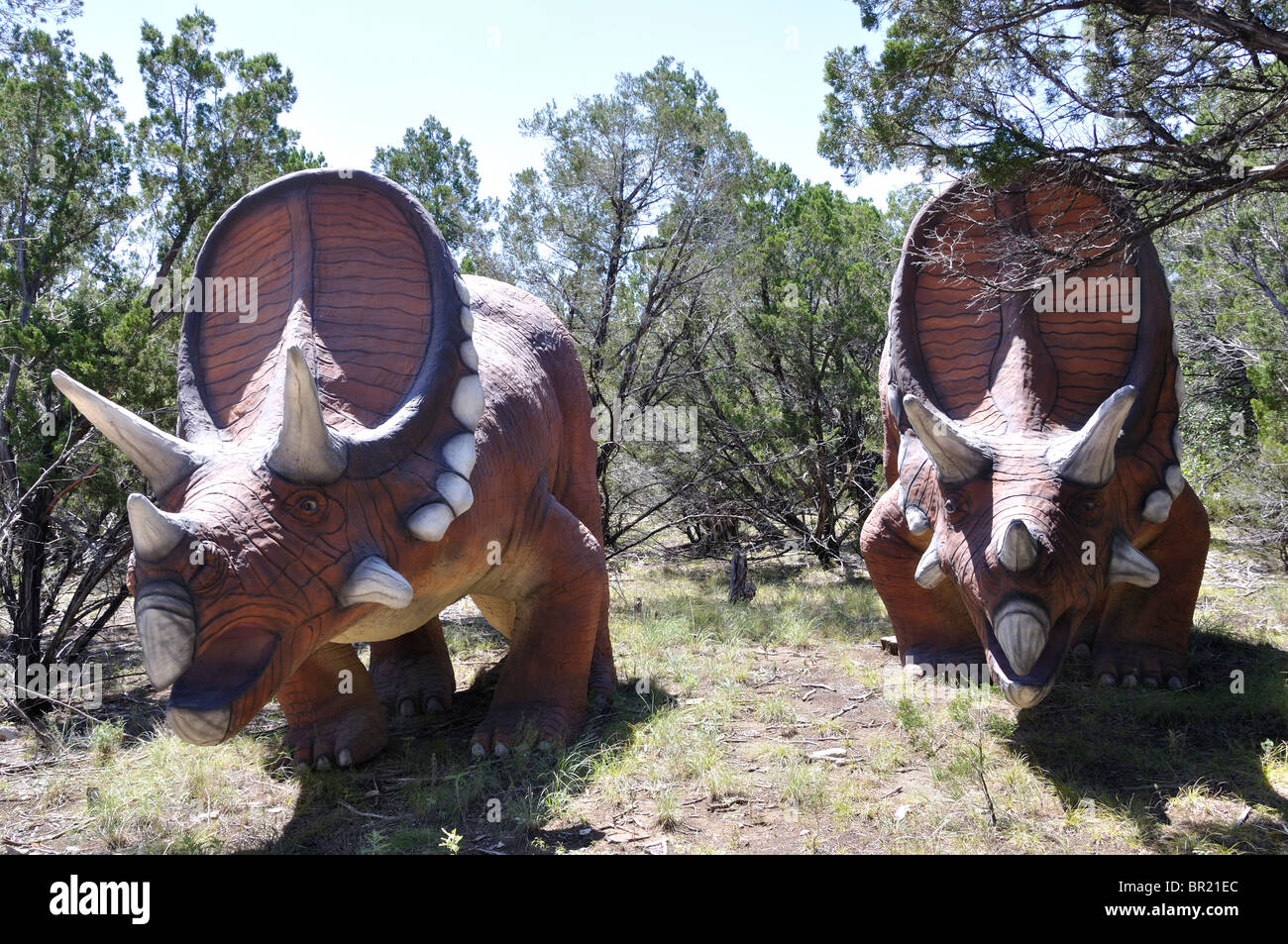 Dinosaur dinosaurs dino torosaurus world museum exhibition glen rose hi
