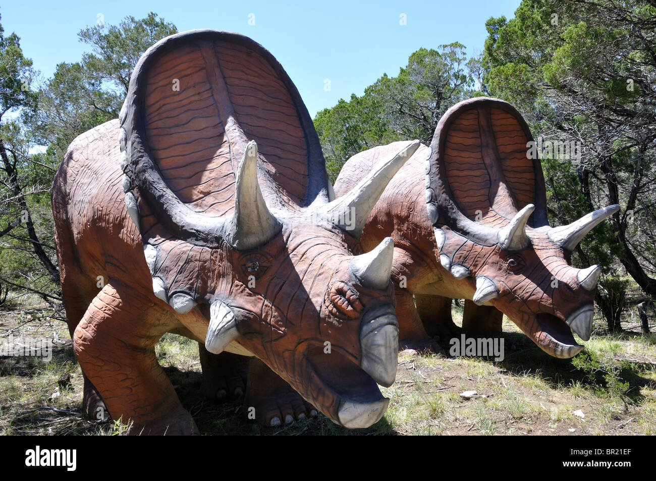 Dinosaur dinosaurs dino torosaurus world museum exhibition glen rose hi