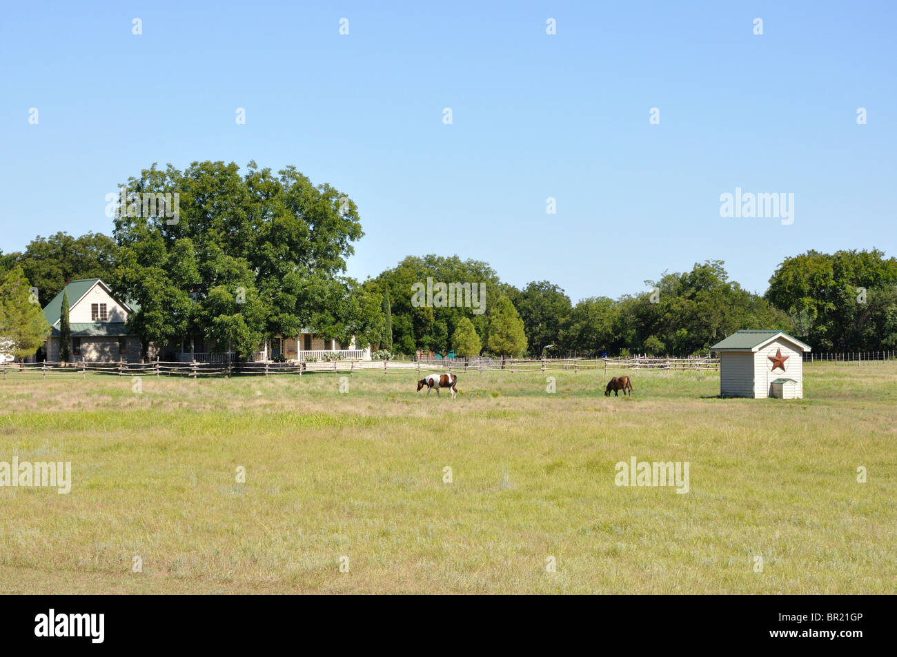 Tsa Ranch Photo Texas ranch, USA Stock Photo - Alamy